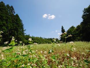 奥州平泉温泉 そば庵 しづか亭