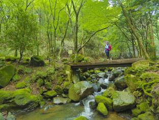 箱根小涌園 天悠