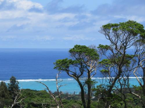 OKINAWA フリーダム