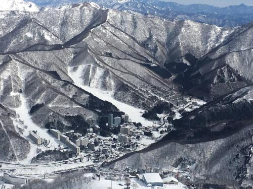 Naeba Ski Resort & Fuji Rock