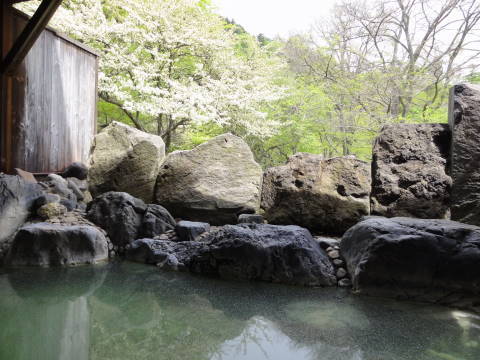 Nikko Yumoto Onsen Spa Village Kamaya