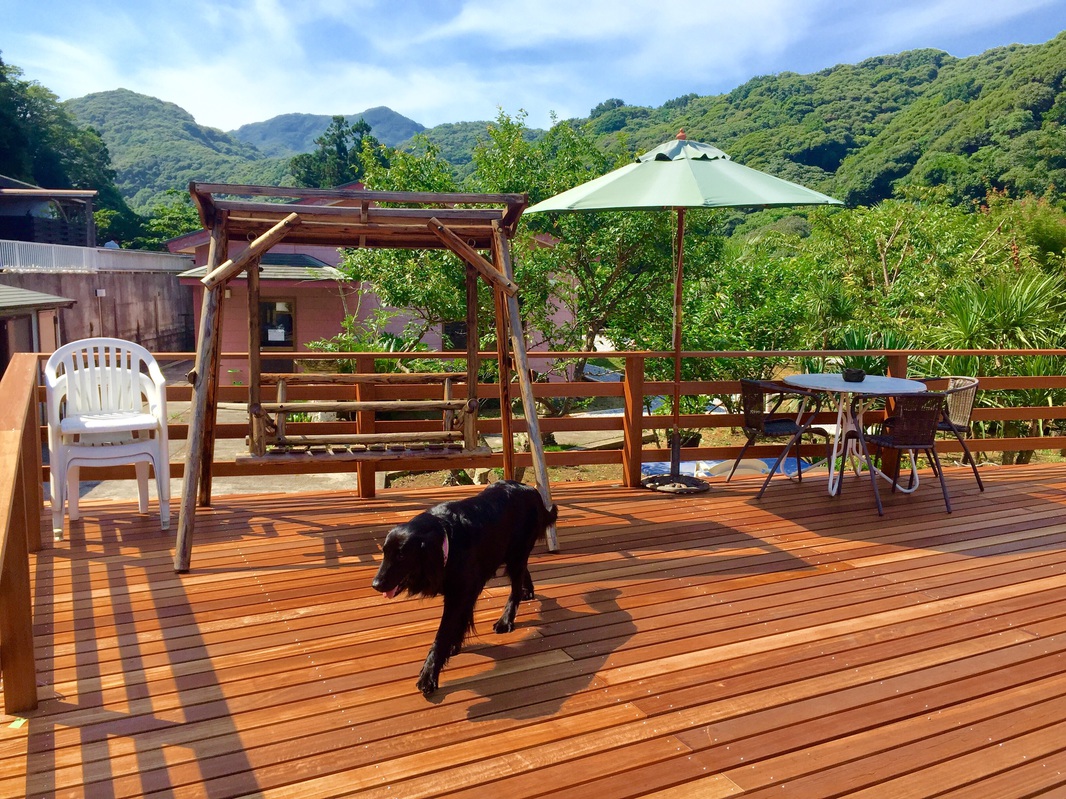 Dog Friendly Asian Resort Umiyado Taiyobito