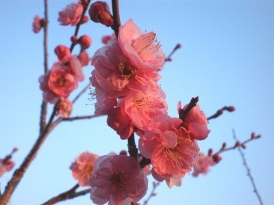 Tsukuba Grand Hotel