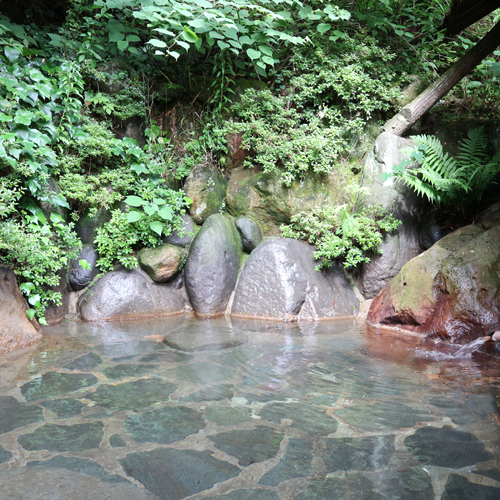 Sujiyu Onsen Takaraya Ryokan <Oita>