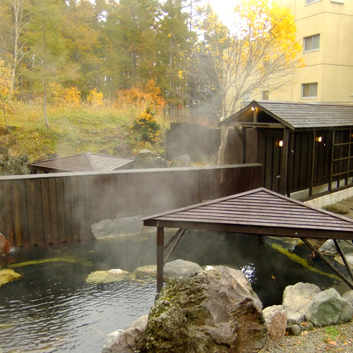 Niseko Annupuri Onsen Yugokorotei