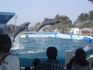 湯快リゾート あわら温泉 青雲閣