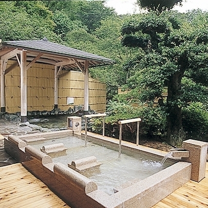 Fushio Onsen Fushiokaku Ryokan