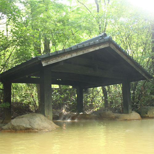 Ryokan Shinseikan