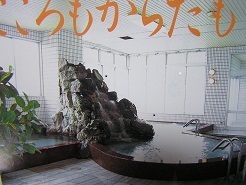 Nakagawa Ryokan