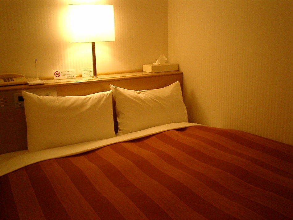 Ota Daiichi Hotel