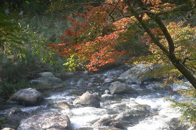 Kanko Ryokan Sugigase