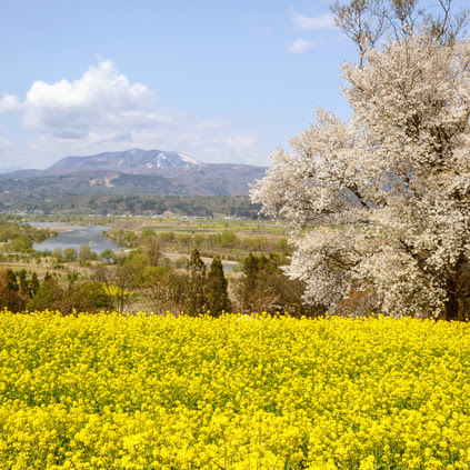 Shinshu Okushinano Oyado Iiyamakan