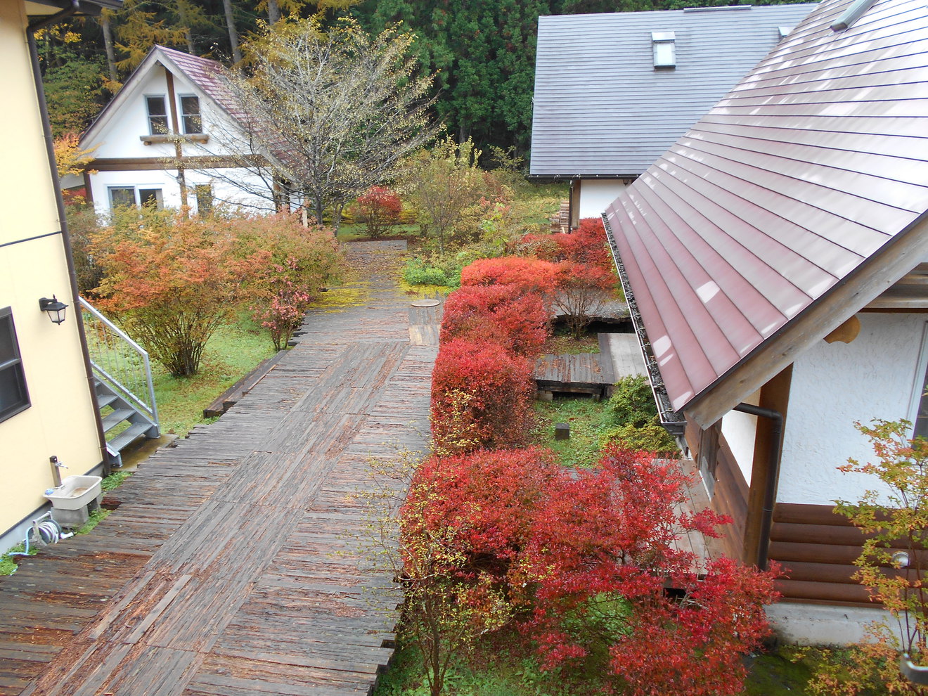 Nikko Log Cottage Little Bears