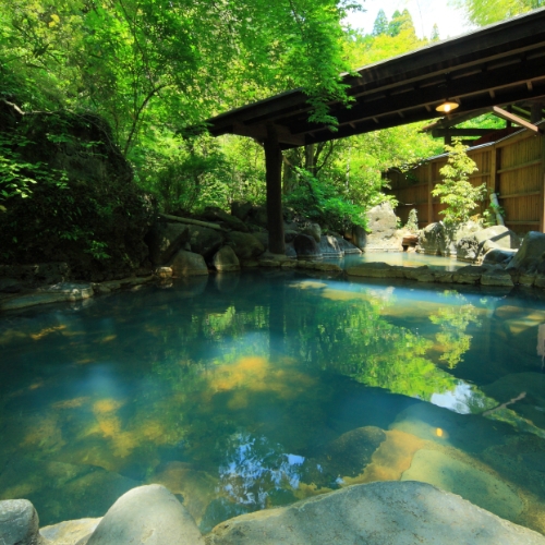 Tanoharu Onsen Ryokan Ryukeien