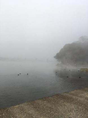 日田温泉 ひなの里 山陽館