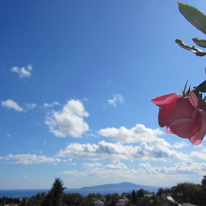 Izu Kogen Umi no Mieru Kogen no Auberge Parterre