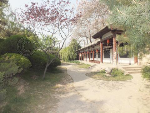 青龍寺 55