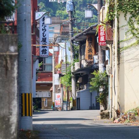 Hinagu Onsen Yanagiya Ryokan