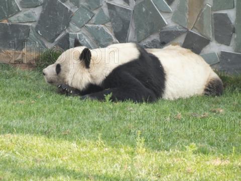 西安世界園芸博覧会 65