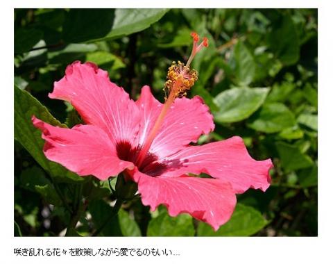 Hotel Garden Hills (Kumejima)