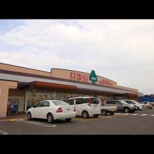 Kagamiishi Dai-ichi Hotel